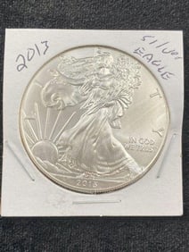 2013 Silver Eagle Coin