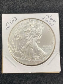 2013 Silver Eagle Coin