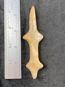 Pollished Stone Lizzard Effigy Indian Artifact Arrowhead