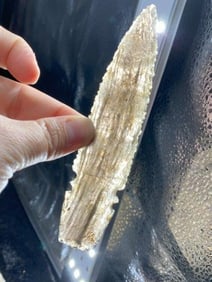 Obsidian Notched Lance from Oregon Indian Artifact Arrowhead