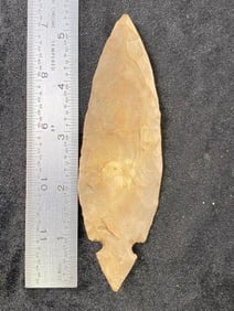 Turkeytail from Kentucky Indian Artifact Arrowhead