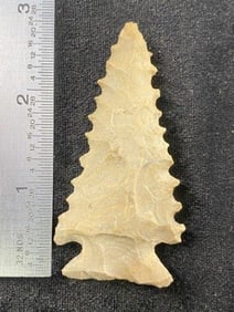 Pine Tree from Missouri Indian Artifact Arrowhead