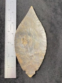 Turkeytail from Tennessee Indian Artifact Arrowhead