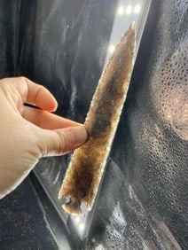 Obsidian Spear from Oregon Indian Artifact Arrowhead