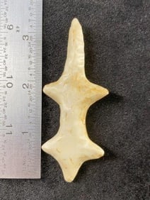 Pollished Stone Lizzard Effigy Indian Artifact Arrowhead