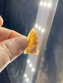 Fine Obsidian Arrow Point from Oregon Indian Artifact Arrowhead