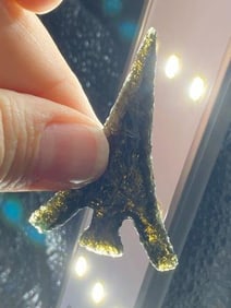 Extremely Fine Obsidian Point from the Gerald Gerlach Collection from Boise, Idaho Indian Artifact