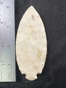 Button Base Turkeytail from Missouri Indian Artifact Arrowhead