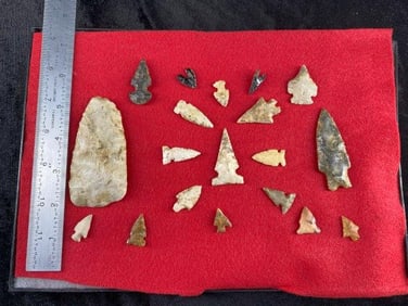 Frame of Bird Points & More Frame IS included Indian Artifact Arrowhead