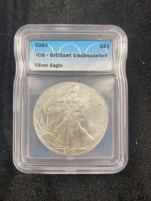 2001 Silver Eagle Coin