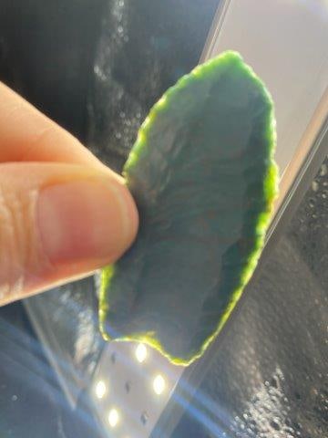 Folsom Indian Artifact Arrowhead (1 of 4)