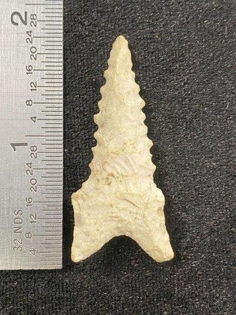 Dalton Indian Artifact Arrowhead: KEY WORDS: INDIAN ARTIFACT ARTIFACTS ARROWHEAD ARROWHEADS NATIVE AMERICAN MISSISSIPPIAN QUAPAW CADDO POTTERY COINS MORGAN DOLLAR PEACE DOLLAR SILVER COINS Arkansas. Now taking in consignments for pre-