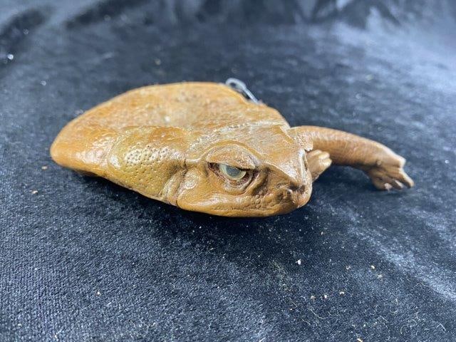 Frog Coin Purse (1 of 2)