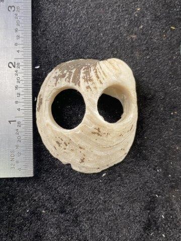 Shell Mask Found on Sandbar in Tennessee (1 of 3)