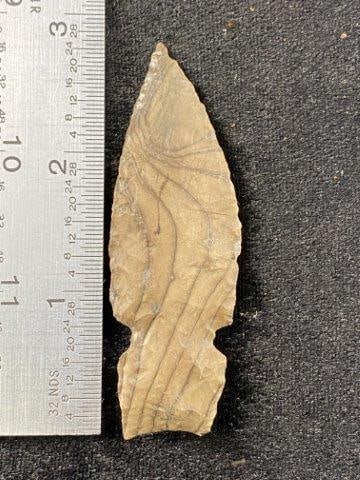 Arrowpoint: KEY WORDS: INDIAN ARTIFACT ARTIFACTS ARROWHEAD ARROWHEADS NATIVE AMERICAN MISSISSIPPIAN QUAPAW CADDO POTTERY COINS MORGAN DOLLAR PEACE DOLLAR SILVER COINS Arkansas. Now taking in consignments for pre-