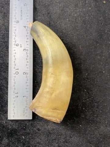 Small Powder Horn Indian Artifact Arrowhead (1 of 4)