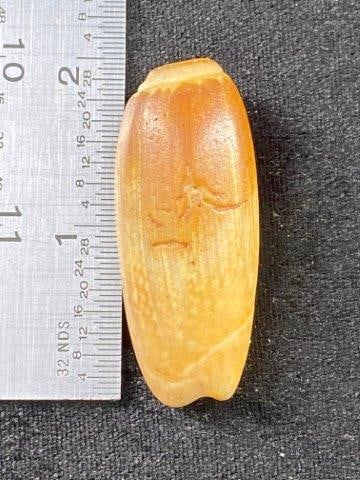 Shell Bead Indian Artifact Arrowhead (1 of 3)