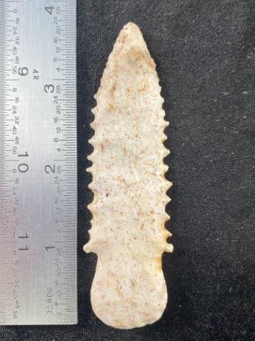 Serated Point Indian Artifact Arrowhead: KEY WORDS: INDIAN ARTIFACT ARTIFACTS ARROWHEAD ARROWHEADS NATIVE AMERICAN MISSISSIPPIAN QUAPAW CADDO POTTERY COINS MORGAN DOLLAR PEACE DOLLAR SILVER COINS Arkansas. Now taking in consignments for pre-