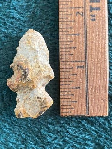 Evans Point Indian Artifact Arrowhead: KEY WORDS: INDIAN ARTIFACT ARTIFACTS ARROWHEAD ARROWHEADS NATIVE AMERICAN MISSISSIPPIAN QUAPAW CADDO POTTERY COINS MORGAN DOLLAR PEACE DOLLAR SILVER COINS Arkansas. Now taking in consignments for pre-