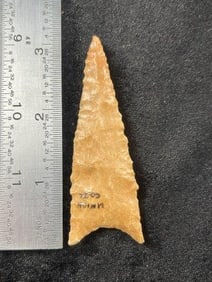 Dalton Indian Artifact Arrowhead
