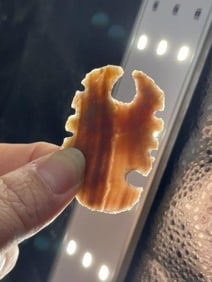 Flint Scorpion Effigy Indian Artifact Arrowhead