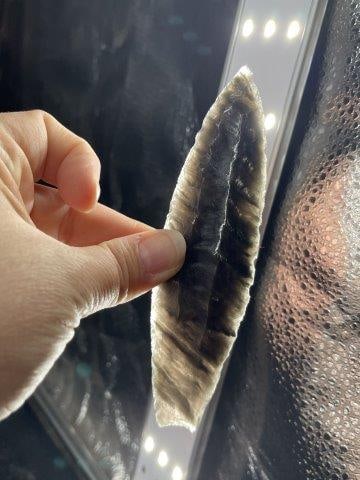 Obsidian Clovis Indian Artifact Arrowhead (1 of 4)