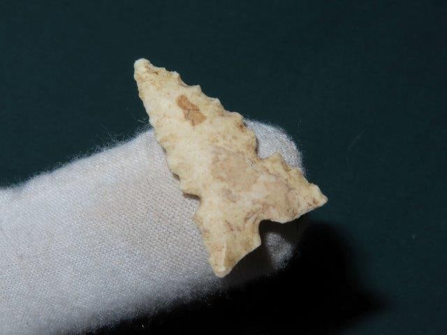 Cahokia Scallorn Bird Point out of the Steffinson Collection (1 of 4)