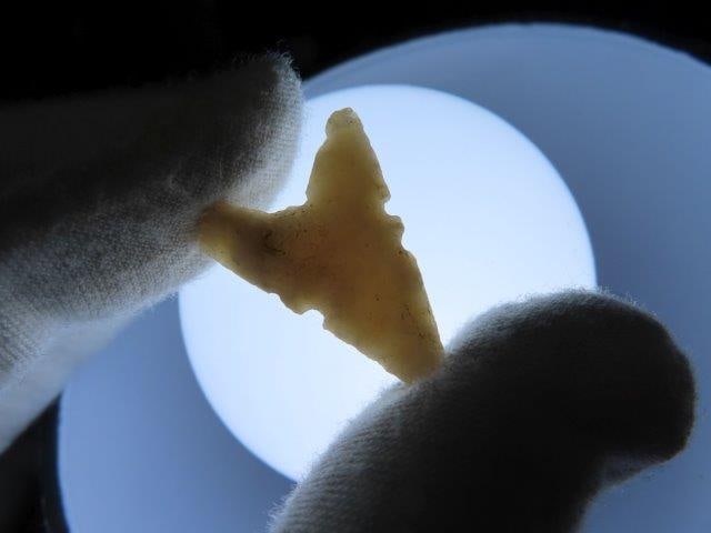 Cahokia Scallorn Bird Point out of the Steffinson Collection (1 of 5)