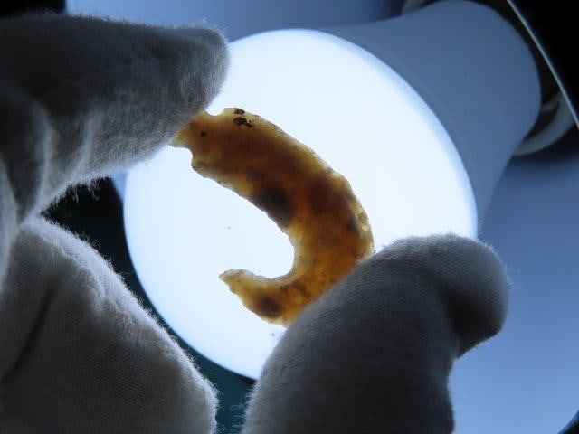 Flint Fish Hook Cahokia Scallorn Bird Point out of the Steffinson Collection (1 of 5)