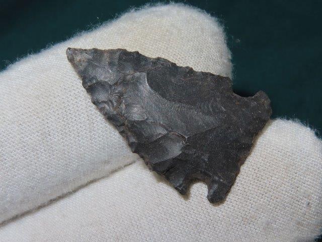 Cahokia Scallorn Bird Point out of the Steffinson Collection (1 of 4)