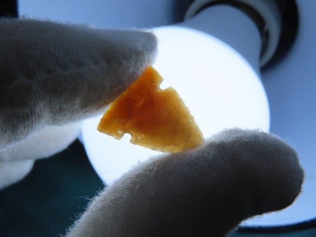 7/8" Bird Point out of the Steffinson Collection (1 of 5)