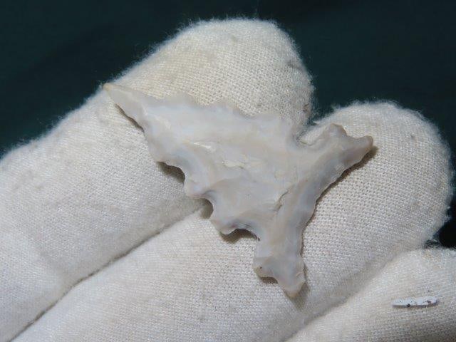 1 1/2" Eccentric Blade out of the Steffinson Collection (1 of 5)