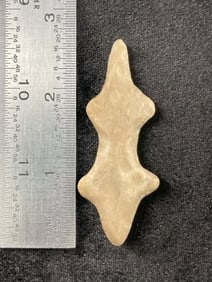 Polished Lizard Effigy Indian Artifact Arrowhead