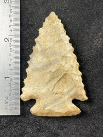 Pine Tree Indian Artifact Arrowhead