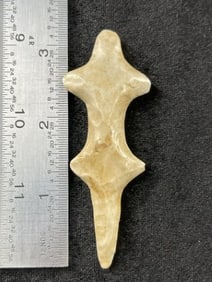 Polished Lizard Effigy Indian Artifact Arrowhead