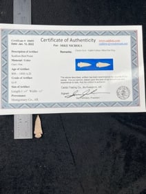 Scallorn Bird Point with Sam Johnson COA from Montgomery County, Arkansas Indian Artifact Arrowhead