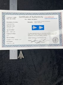 Catahoula Point with Sam Johnson COA from Clark County, Arkansas Indian Artifact Arrowhead