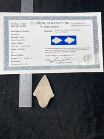 Gary Point with Sam Johnson COA from Hempstead County, Arkansas Indian Artifact Arrowhead