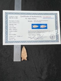 Dalton Greenbrier with Sam Johnson COA from Pike County, Arkansas Indian Artifact Arrowhead