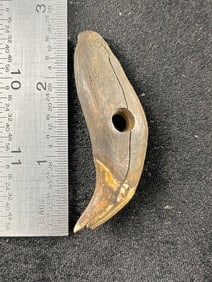 2 & 1/2" Tooth Pendant Indian Artifact Arrowhead