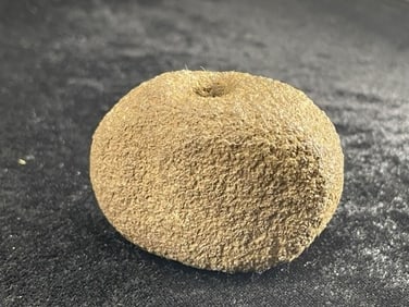 2 & 1/2" Stone Bannerstone Indian Artifact Arrowhead