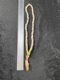 Whale Effigy Pendant with Trade Bead Necklace