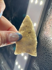 2 & 1/2" Tallahada Quartzite Dalton Indian Artifact Arrowhead