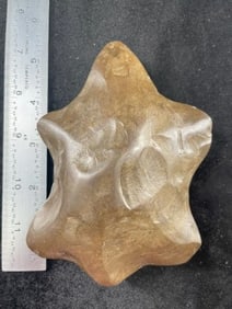 5 & 1/2" Chipped Turtle Effigy Indian Artifact Arrowhead