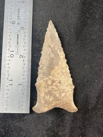 3 & 1/4" Dalton Indian Artifact Arrowhead