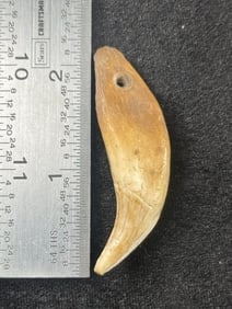 Claw Pendant Indian Artifact Arrowhead