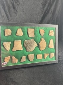 Group of Arrowheads Riker Frame IS included