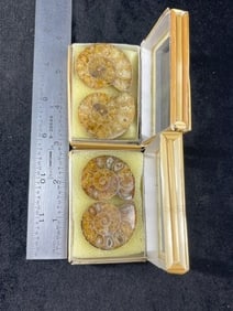 4 Small Fossils and hand made box Indian Artifact Arrowhead