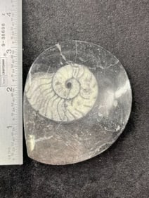 Fossil Indian Artifact Arrowhead