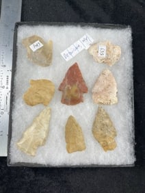 Group of Arrow Points. Riker Frame Included